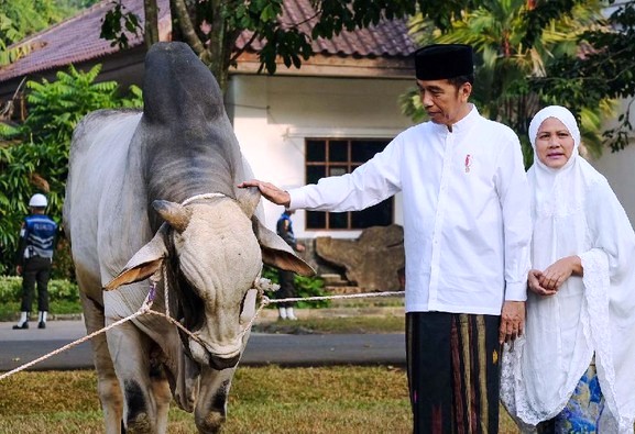 Jokowi Salat Idul Adha di Istiqlal dan Serahkan Kurban di 34 Provinsi