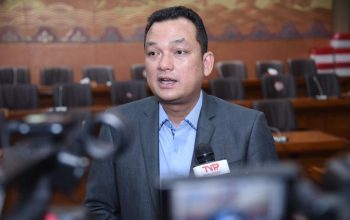 Wakil Ketua Komisi VI DPR RI, Martin Manurung