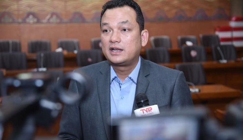 Wakil Ketua Komisi VI DPR RI, Martin Manurung