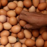 Bapanas: Ada Oknum yang Naikkan Harga Telur di Atas HAP