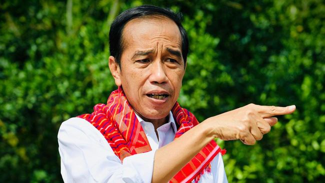 Jokowi Minta Dua Penghambat Investasi di Daerah Segera Diselesaikan