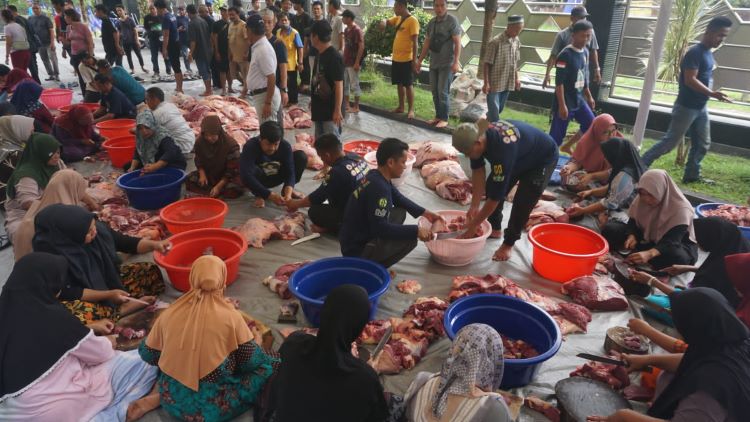 H.Mansyur Sembelih 15 Ekor Sapi Sambut Anies Baswedan ke Kalsel