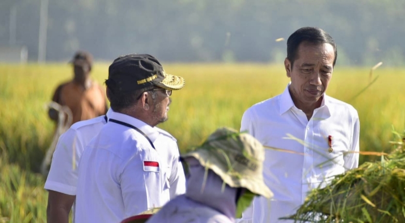 Mentan SYL Siap Laksanakan Arahan Jokowi dalam Tingkatkan Produktivitas Panen Padi