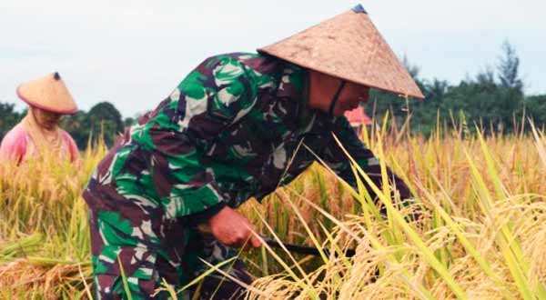 Mentan Ingatkan Pentingnya Sinergi Bangun Pertanian dengan TNI