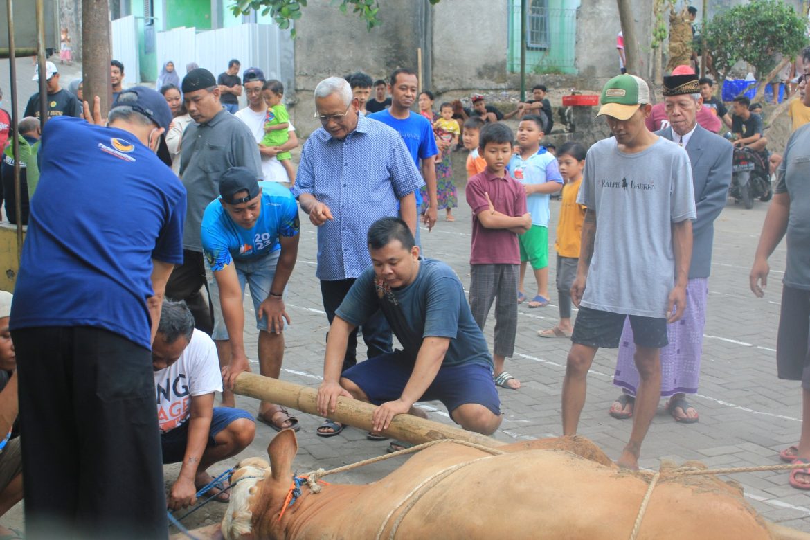 Mbah Bardi Tegaskan Kurban adalah Ibadah Sosial, Memotong Sifat Hewani