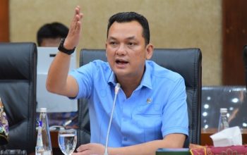 Martin Manurung Desak Pemerintah Segera Selesaikan Permasalahan BUMN Karya 