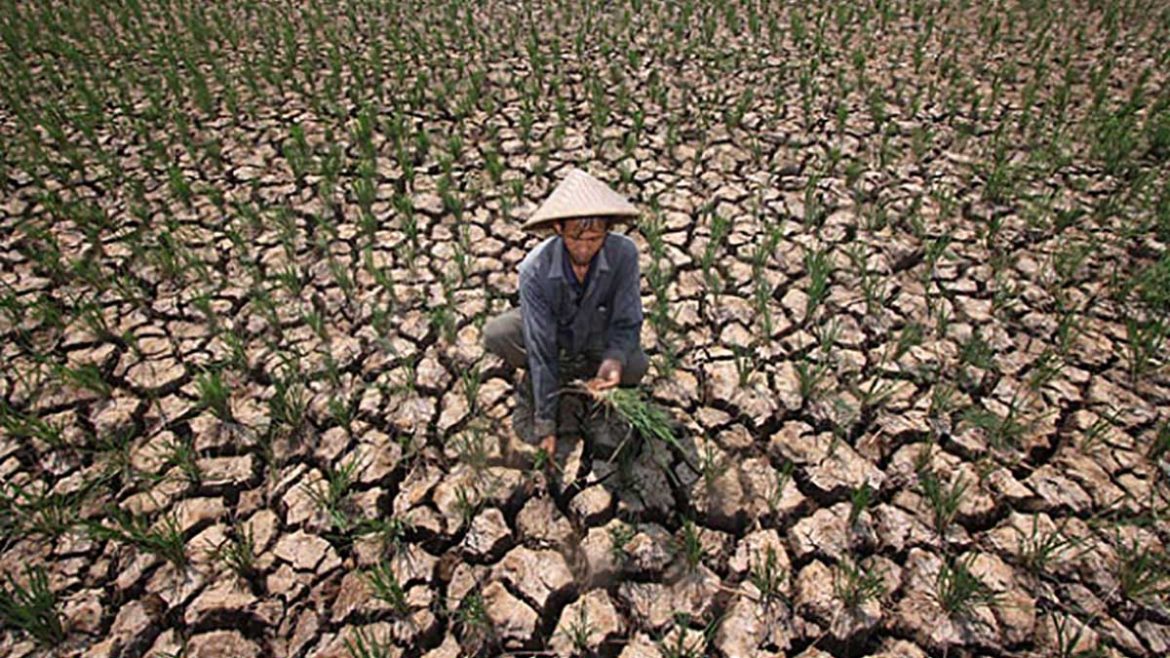 BNPB Siapkan Operasi Darat dan Udara Minimalisir Dampak El Nino