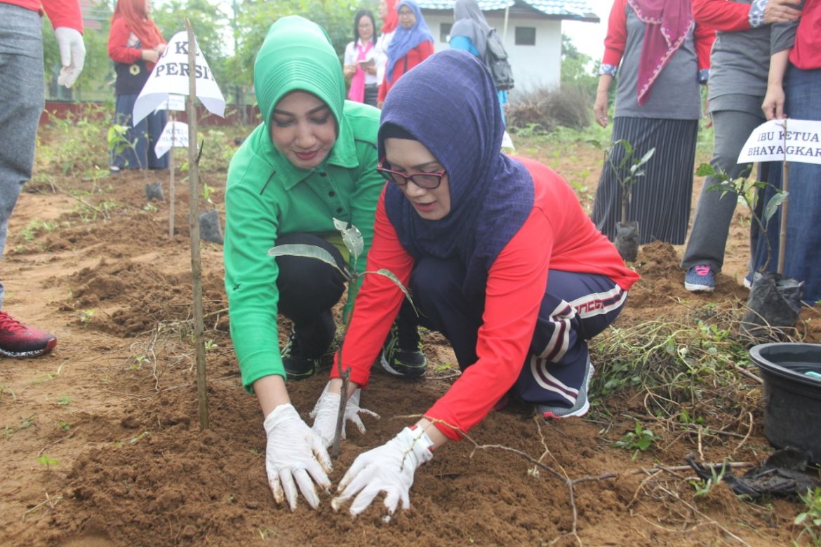 Jokowi Ajak Tanam Pohon di Seluruh Tanah Air