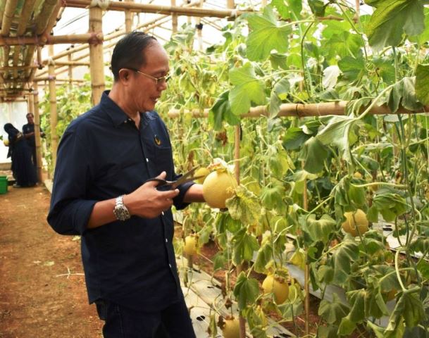 Komitmen Ayep Zaki dalam Merealisasikan Ekosistem Pertanian