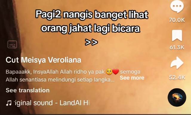 Pengamat Tanggapi Fenomena Prabowo Dukungan dengan Hati untuk Prabowo di TikTok