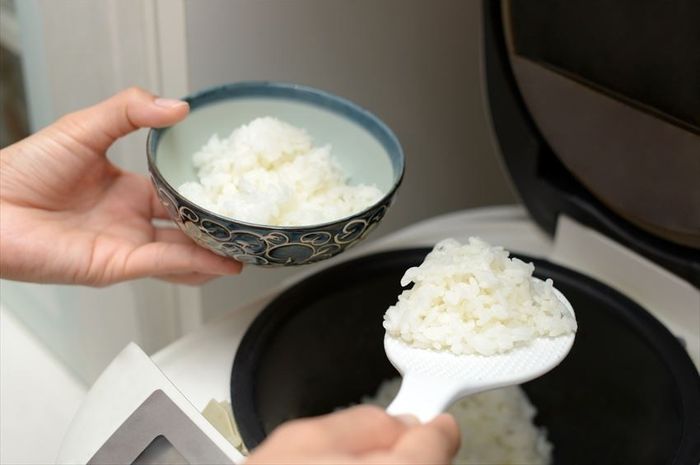 Penyaluran Rice Cooker Gratis Didominasi Wilayah Jawa dan Bali