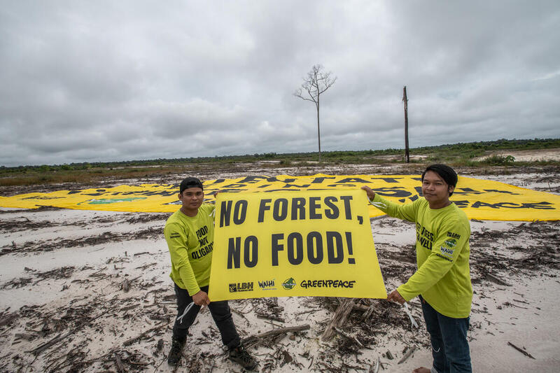 Program Food Estate Dipastikan Dievaluasi