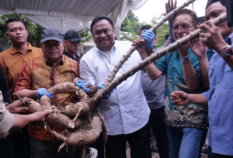 Gobel Sebut Gorontalo Bisa Jadi Lumbung Pangan Nasional Indonesia Timur
