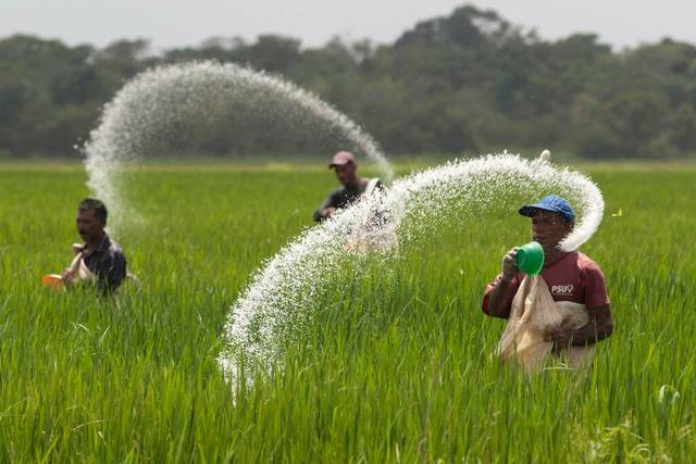 Ganjar Ajak Petani Produksi Pupuk Secara Mandiri