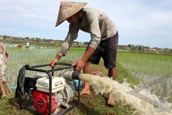 Optimasi Lahan dan Pompanisasi untuk Tingkatkan Indeks Tanam Sawah