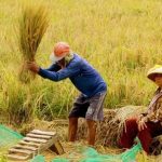 Atensi dari Pembangunan IKN Digeser ke Pendidikan Hingga Ketahanan Pangan