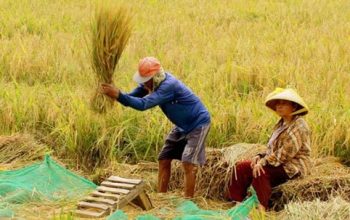 Atensi dari Pembangunan IKN Digeser ke Pendidikan Hingga Ketahanan Pangan