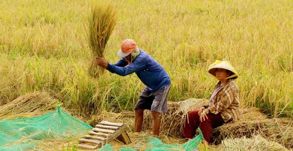 Atensi dari Pembangunan IKN Digeser ke Pendidikan Hingga Ketahanan Pangan