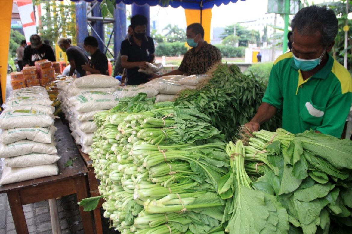 Petani Milenial Dilatih dalam Teknik Modern Oplah