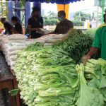 Petani Milenial Dilatih dalam Teknik Modern Oplah