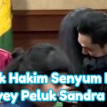 Komisi Yudisial Proses Laporan Terkait Hakim yang Vonis Ringan Suami Sandra Dewi