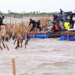 Menteri Terkait Diimbau Tak Takut Bongkar Kasus Pagar Laut