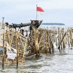 Orang dalam Diduga Kolusi terkait Penerbitan Sertifikat HGB Pagar Laut