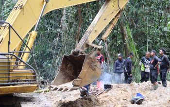 Kerusakan Lahan Katingan Capai 41.000 Hektare, Ekosistem Sulit Dipulihkan Hingga Air Raksa