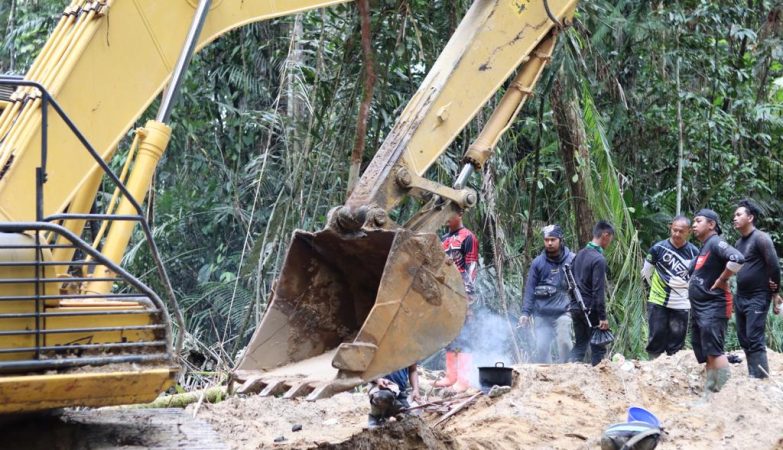 Kerusakan Lahan Katingan Capai 41.000 Hektare, Ekosistem Sulit Dipulihkan Hingga Air Raksa