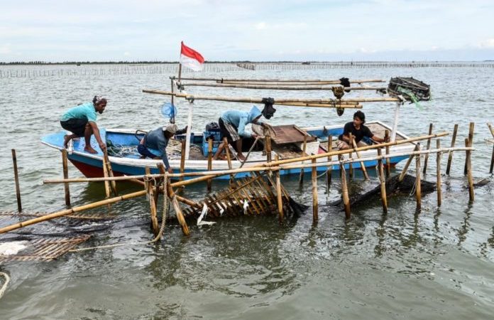 Pegawai ATR/BPN Dicopot karena Terlibat Penerbitan SHGB Pagar Laut Tangerang