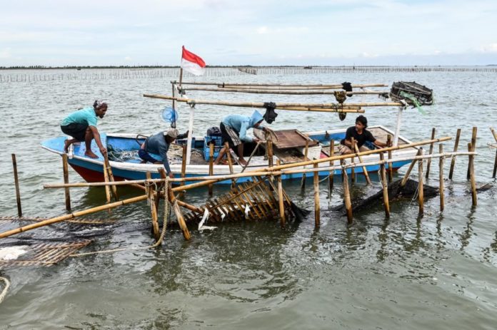 Pegawai ATR/BPN Dicopot karena Terlibat Penerbitan SHGB Pagar Laut Tangerang