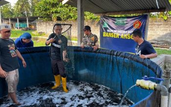 Panen Satu Ton Lele, Deni: Langkah Nyata Ansor Jatim Dukung Ketahanan Pangan 