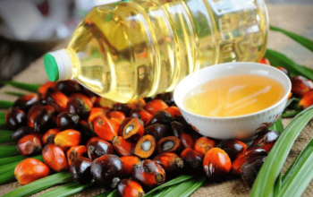 Konflik India Kontra Pakistan Dikhawatirkan Ganggu Ekspor Batu Bara dan Crude Palm Oil