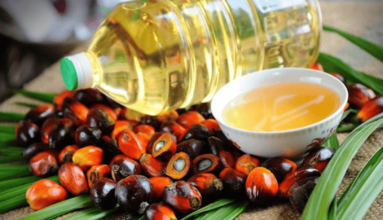 Konflik India Kontra Pakistan Dikhawatirkan Ganggu Ekspor Batu Bara dan Crude Palm Oil