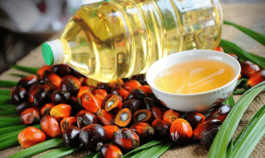 Konflik India Kontra Pakistan Dikhawatirkan Ganggu Ekspor Batu Bara dan Crude Palm Oil