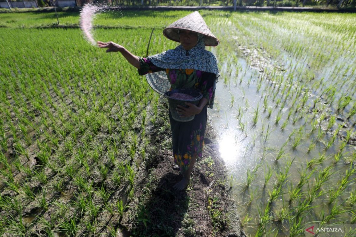 Generasi Muda Dijanjikan Jadi Konglomerat Lewat Pertanian