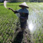 Generasi Muda Dijanjikan Jadi Konglomerat Lewat Pertanian
