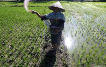 Generasi Muda Dijanjikan Jadi Konglomerat Lewat Pertanian