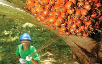 Indonesia Canangkan Swasembada BBM dan Energi