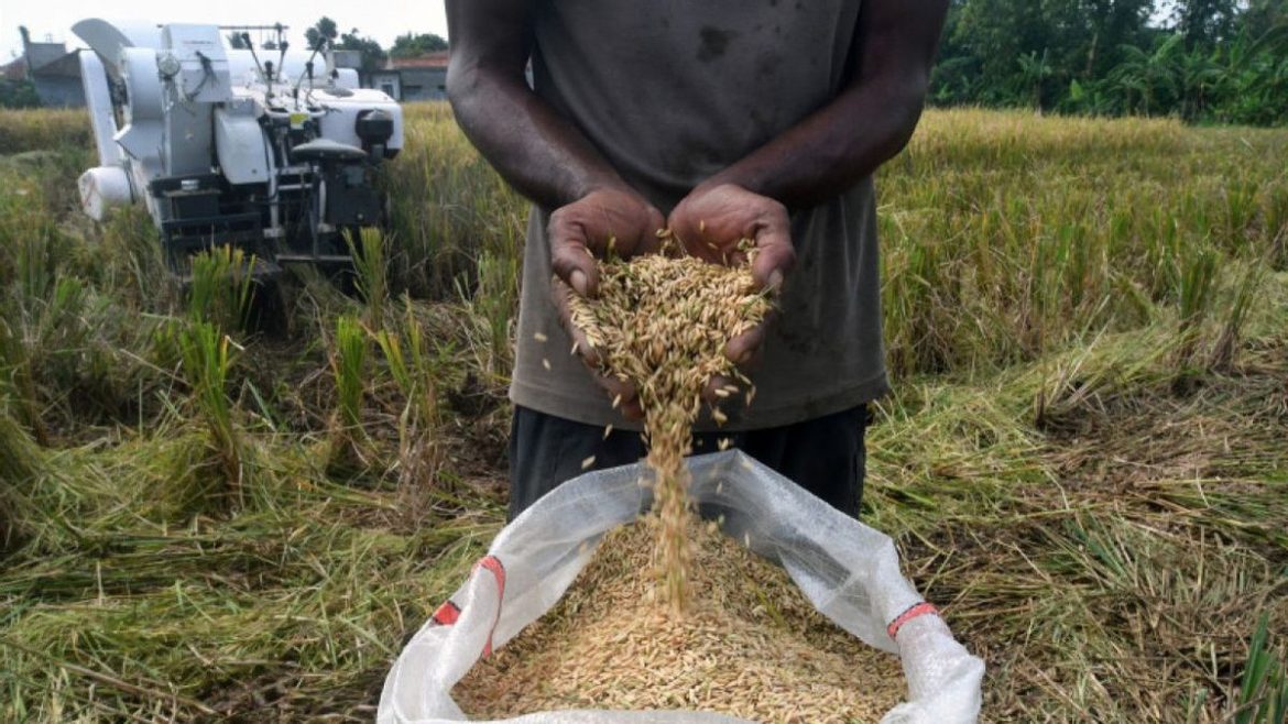 Jabar 352.680 Ton, Kontributor Terbesar Serapan Beras Nasional
