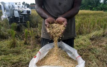 Jabar 352.680 Ton, Kontributor Terbesar Serapan Beras Nasional