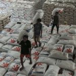 Stok Terjaga, Indonesia Ekspor 24.000 Ton Beras Per Tahun ke Malaysia