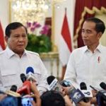 Pengmat Uraikan Peluang Jokowi Jadi Ketum PPP