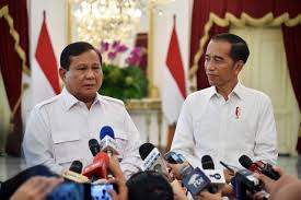 Pengmat Uraikan Peluang Jokowi Jadi Ketum PPP