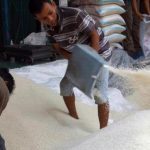 Beras Oplosan Dinilai Rugikan Negara Hingga Rp100 Triliun Setiap Tahun