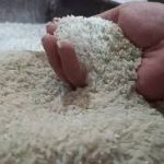 Oplosan Beras SPHP Jadi Peremiun Rugikan Negara Capai Rp2 Triliun Per Tahun, Begini Modusnya