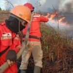 Percepatan Operasi Tanggap Darurat Karhutla di Riau