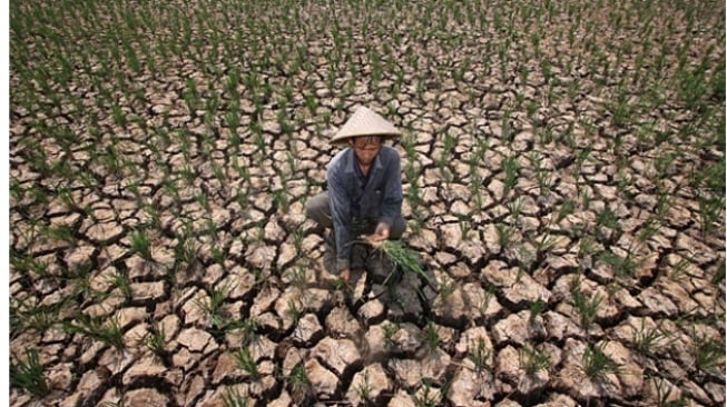 Cuaca Ekstrem Terjadi di Sejumlah Wilayah Indonesia