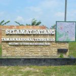kawasan hutan Taman Nasional Tesso Nilo