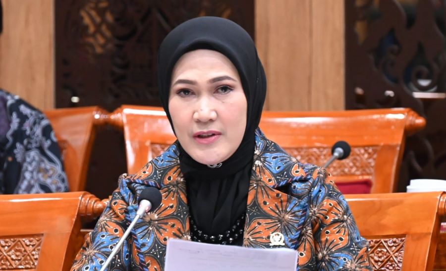 Bela Guru, Lita Arifin Tegaskan Fraksi NasDem Dorong PPPK jadi PNS tanpa Seleksi Ulang